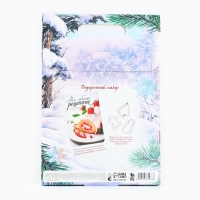 Подарочный набор новогодний кулинарный блокнот и формочки для вырезания теста &laquo;Исполнения желаний в Новом году!&raquo;