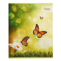 Комплект тетрадей из 5 штук (4 разные + 1 повторяющаяся), 36 листов в клетку Calligrata "Бабочки", обложка мелованная бумага, блок №2, белизна 75% (серые листы) Комплект тетрадей из 5 штук (4 разные + 1 повторяющаяся), 36 листов в клетку Calligrata "Бабочки", обложка мелованная бумага, блок №2, белизна 75% (серые листы)