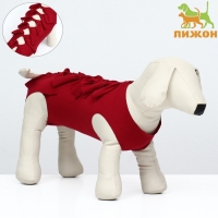 Попона послеоперационная, размер S (ОГ 21-30 см, вес 3-6 кг), бордо Попона послеоперационная, размер S (ОГ 21-30 см, вес 3-6 кг), бордо