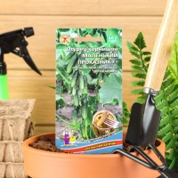 Семена Огурец "Маленький Проказник", F1, 8 шт Семена Огурец "Маленький Проказник", F1, 8 шт