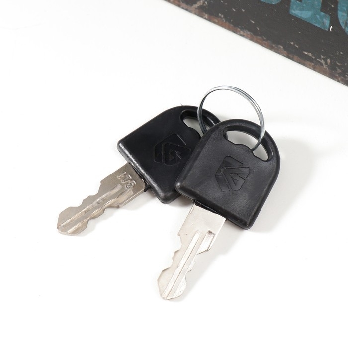 Сейф-книга дерево кожзам Сейф-книга дерево кожзам "Французский бульдог в очках с наушниками" 21х13х5 см