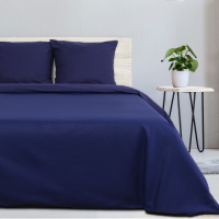 Постельное бельё Этель 1,5 сп &laquo;Синяя пыль&raquo; 143&times;215 см, 150&times;214 см, 70&times;70 см 2 шт, поплин 125 г/м&sup2;