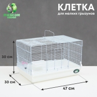 Клетка для грызунов "Пижон", 47 х 30 х 30 см, белая Клетка для грызунов "Пижон", 47 х 30 х 30 см, белая