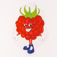 Термотрансфер &laquo;Малина&raquo;, набор 10 шт.