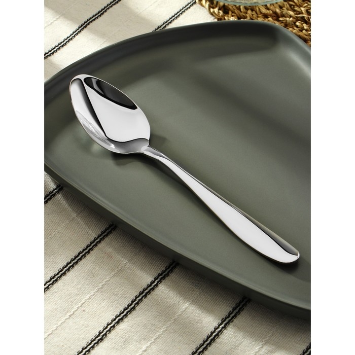 Ложка столовая из нержавеющей стали, длина 20 см, цвет серебряный Ложка столовая из нержавеющей стали, длина 20 см, цвет серебряный