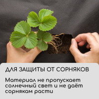 Материал для ландшафтных работ, 5 &times; 3,2 м, плотность 120 г/м&sup2;, спанбонд с УФ-стабилизатором, чёрный, Greengo, Эконом 30%