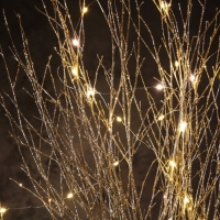 Светодиодная фигура «Ветви бежевые» 100х108х6 см, 30 LED, батарейки АAх3 (не в комплекте), свечение теплое белое Светодиодная фигура «Ветви бежевые» 100х108х6 см, 30 LED, батарейки АAх3 (не в комплекте), свечение теплое белое