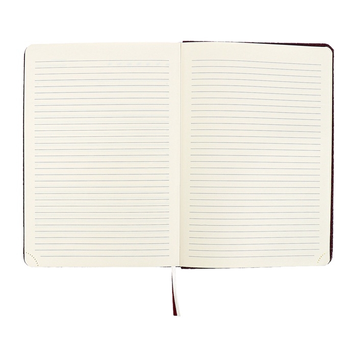 Ежедневник недатированный A5 136 листов кожзам deVENTE. Clair, твердая обложка с поролоном, перфорация, ляссе, блок 70, бордовый