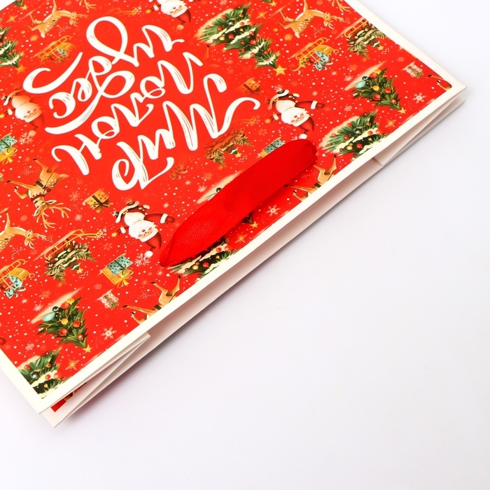 Новый год. Пакет подарочный новогодний бумажный, Новый год. Пакет подарочный новогодний бумажный, "Мир полон чудес", 24 х 20 х 11 см.