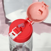 Бутылка для воды &laquo;Верхом на звезде&raquo;, 750 мл