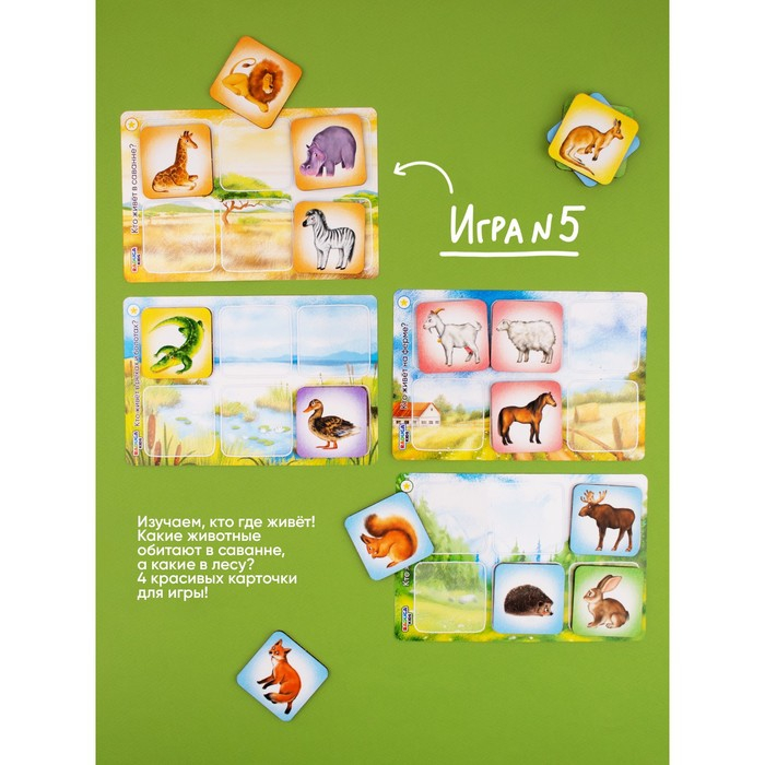 Лото &laquo;Животные&raquo;