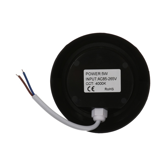 Светильник фасадный &laquo;Сити&raquo;, FSD-049, 5 Вт, 4000К, круг, IP65, 220 В, пластик, черный