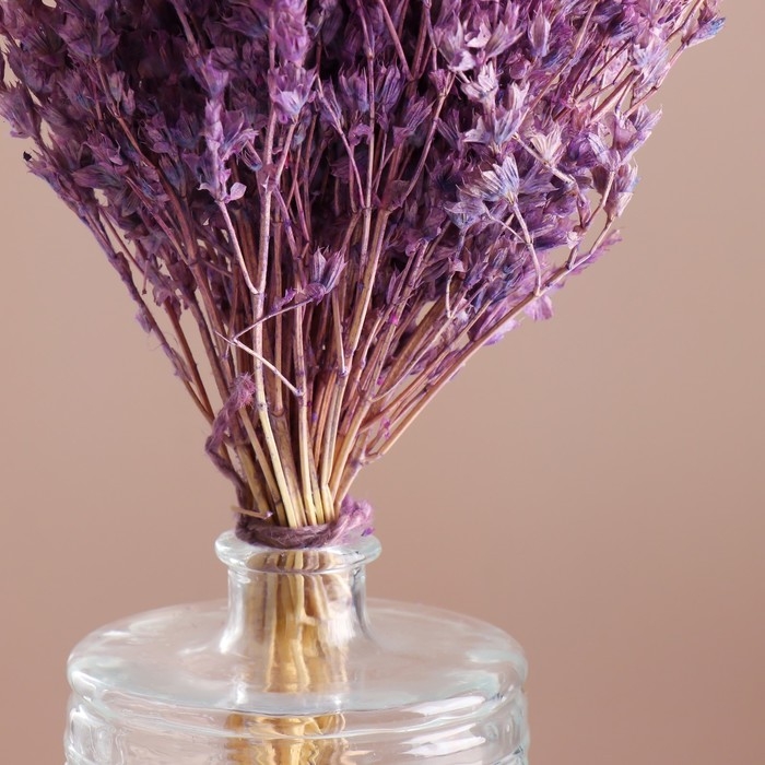 Набор сухоцветов Набор сухоцветов "Шандра", банч длина 32 (+/- 6 см), сиреневый