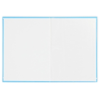 Папка для свидетельства о рождении &laquo;Мои первые документы&raquo;, А4.