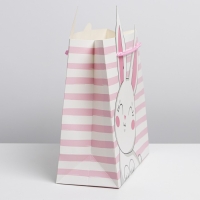 Пакет подарочный, упаковка, &laquo;Best day&raquo;, 25 х 26 х 10 см