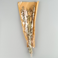 Сухоцветы «Мечта», набор из 4 видов, 48 × 16 × 6 см Сухоцветы «Мечта», набор из 4 видов, 48 × 16 × 6 см