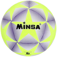 Футбольный мяч MINSA, машинная сшивка, 12 панелей, р. 5, TPE