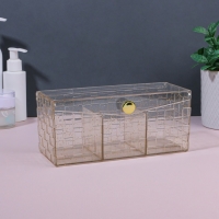 Органайзер для хранения «SHINE», с крышкой, 3 секции, 21,5 × 8,8 × 9,5 см, цвет прозрачный/золотистый Органайзер для хранения «SHINE», с крышкой, 3 секции, 21,5 × 8,8 × 9,5 см, цвет прозрачный/золотистый