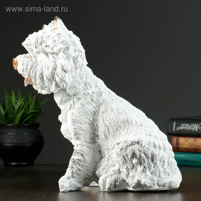 Копилка "Вест Хайленд Уайт Терьер" 31см