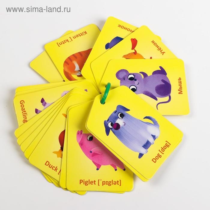 Карточки на кольце для изучения английского языка &laquo;Мамы и детёныши&raquo;, 20 карт, кольцо, 3+