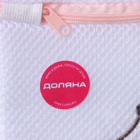 Мешок для стирки носков Доляна, 17&times;20 см, трехслойный, крупная сетка, цвет МИКС