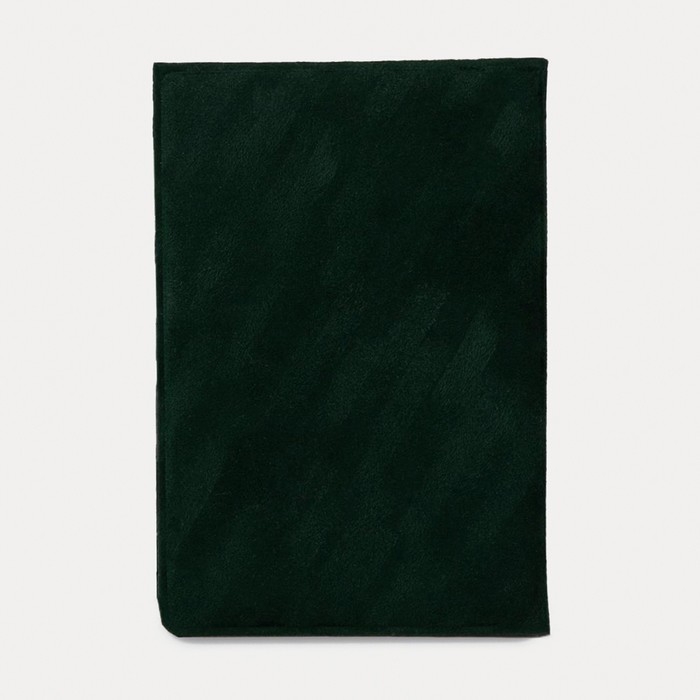 Обложка для паспорта, цвет зелёный