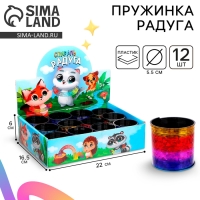 Пружинка - радуга &laquo;Цветная пружинка&raquo;, в шоубоксе
