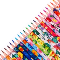 Карандаши 24 цвета в картонной коробке, шестигранные, деревянные,Цветы на чёрном МИКС Карандаши 24 цвета в картонной коробке, шестигранные, деревянные,Цветы на чёрном МИКС