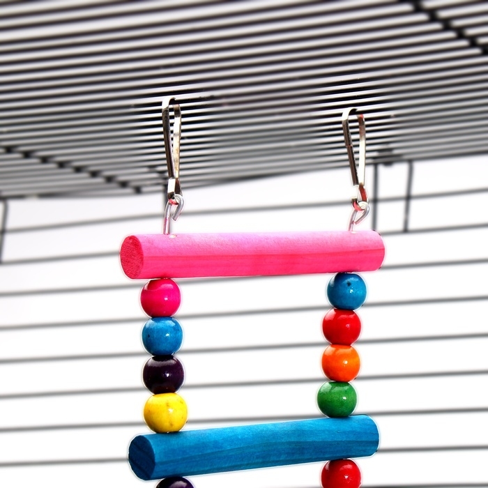 Игрушка для птиц Игрушка для птиц" Лесенка с бусинками" 8 ступеней, микс цветов