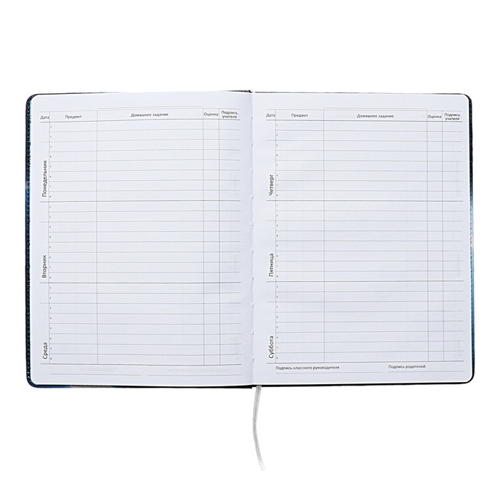 Дневник универсальный для 1-11 класса Football Time, твёрдая обложка, искусственная кожа, с поролоном, ляссе, 80 г/м2