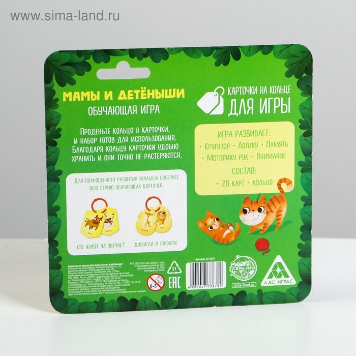 Карточки на кольце для изучения английского языка &laquo;Мамы и детёныши&raquo;, 20 карт, кольцо, 3+
