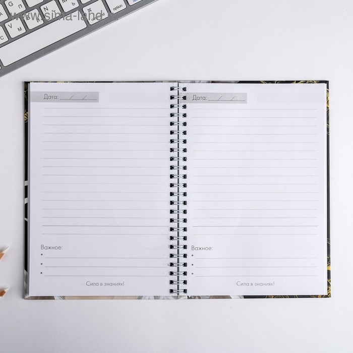 Ежедневник на гребне «Золотому учителю», формат А5, 60 листов, твердая обложка Ежедневник на гребне «Золотому учителю», формат А5, 60 листов, твердая обложка