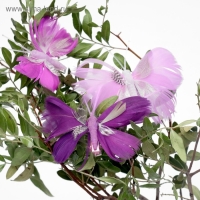 Бабочка для декора и флористики, на прищепке, пластиковая, сиреневый, микс, 1 шт., 8 х 5 х 1 см Бабочка для декора и флористики, на прищепке, пластиковая, сиреневый, микс, 1 шт., 8 х 5 х 1 см