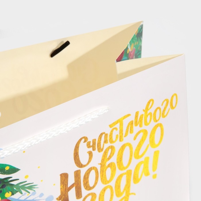 Пакет подарочный новогодний &laquo;Звезда&raquo;, 30 х 23 х 10 см, Новый год