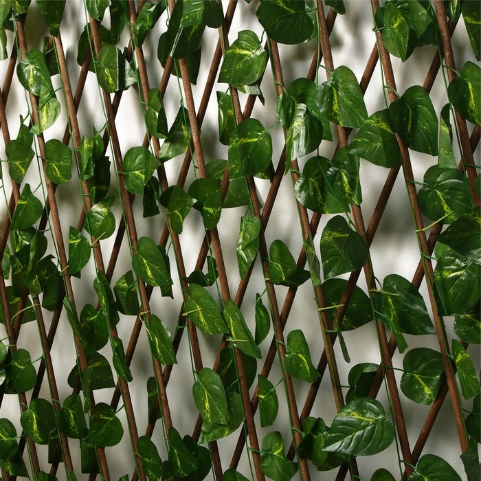 Ограждение декоративное, 200 &times; 75 см, &laquo;Лист берёзы&raquo;, Greengo