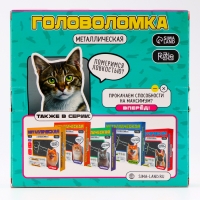Головоломка металлическая "Бася" Головоломка металлическая "Бася"