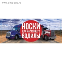 Носки в банке "Носки для настоящего водилы" (мужские, цвет черный)