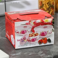 Набор салатников керамических с вакуумными крышками «Розалинда», 3 предмета: 250 мл, 550 мл, 850 мл, d=15/13/9,5/ см Набор салатников керамических с вакуумными крышками «Розалинда», 3 предмета: 250 мл, 550 мл, 850 мл, d=15/13/9,5/ см