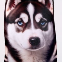 Антистресс игрушка, собака «Хаски» Антистресс игрушка, собака «Хаски»