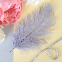 Перо для декора 1 шт., размер 24 см, цвет серый Перо для декора 1 шт., размер 24 см, цвет серый