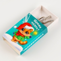 Головоломка металлическая «Развивай логику. Змейки», в шоубоксе, МИКС Головоломка металлическая «Развивай логику. Змейки», в шоубоксе, МИКС