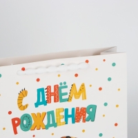 Пакет ламинированный вертикальный &laquo;Динозавр: С днём рождения&raquo;, M 26 х 30 х 9 см