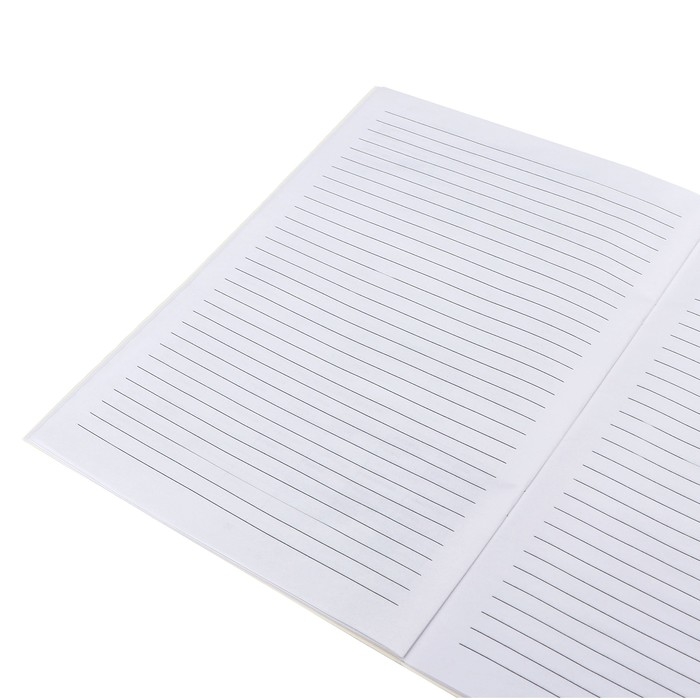 Медицинская карта ребёнка А4, форма № 026/у-2000, 16 листов, синий Медицинская карта ребёнка А4, форма № 026/у-2000, 16 листов, синий