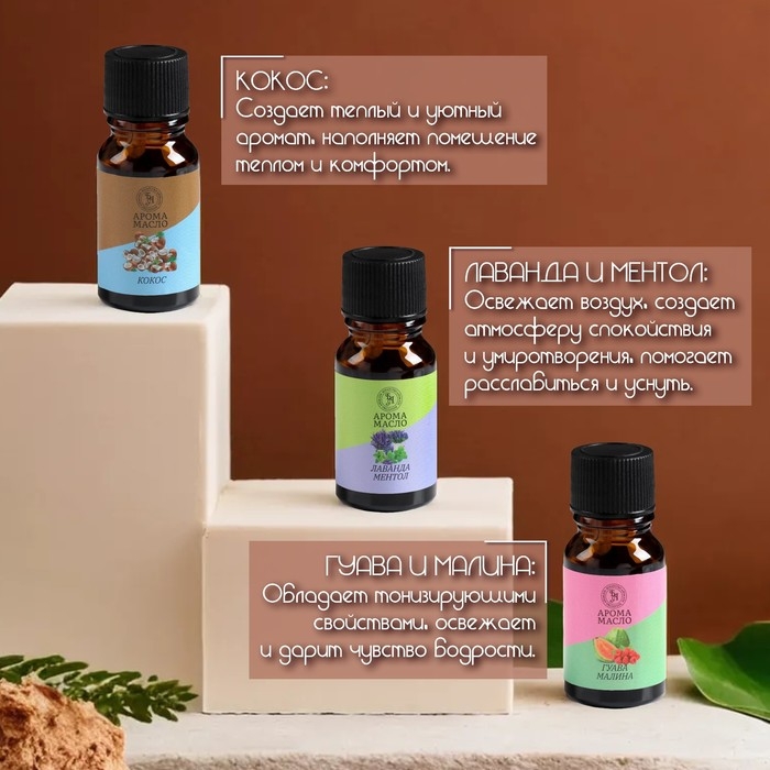 Аромамасло, набор (6 в 1), по 10 мл Аромамасло, набор (6 в 1), по 10 мл "Богатство Аромата" №1