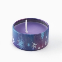 Свеча новогодняя в железной банке &laquo;Новый год: Для чудес&laquo;Новый год: аромат ваниль, 4.8 см