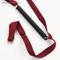 Прыгунки №2 &laquo;Пряники, Леденец&raquo; (прыгунки, качели, тарзанка), цвет МИКС