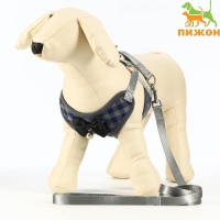 Комплект амуниции с мягкой шлейкой, L, поводок 120 х 1,5 см, ОШ 30-50 см, ОГ 36-56 см, серый 71191 Комплект амуниции с мягкой шлейкой, L, поводок 120 х 1,5 см, ОШ 30-50 см, ОГ 36-56 см, серый 71191