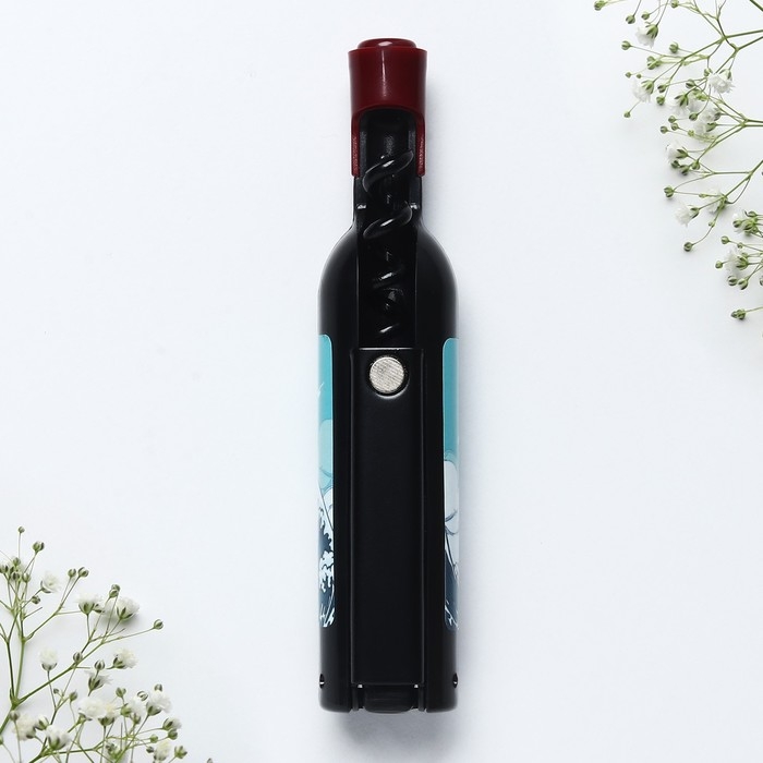 Магнит-открывашка &laquo;Владивосток&raquo;, 2,5 х 11,8 х 2,5 см