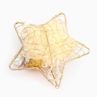 Новогодний подарочный набор косметики &laquo;Новогодняя звезда&raquo;, золотая серия