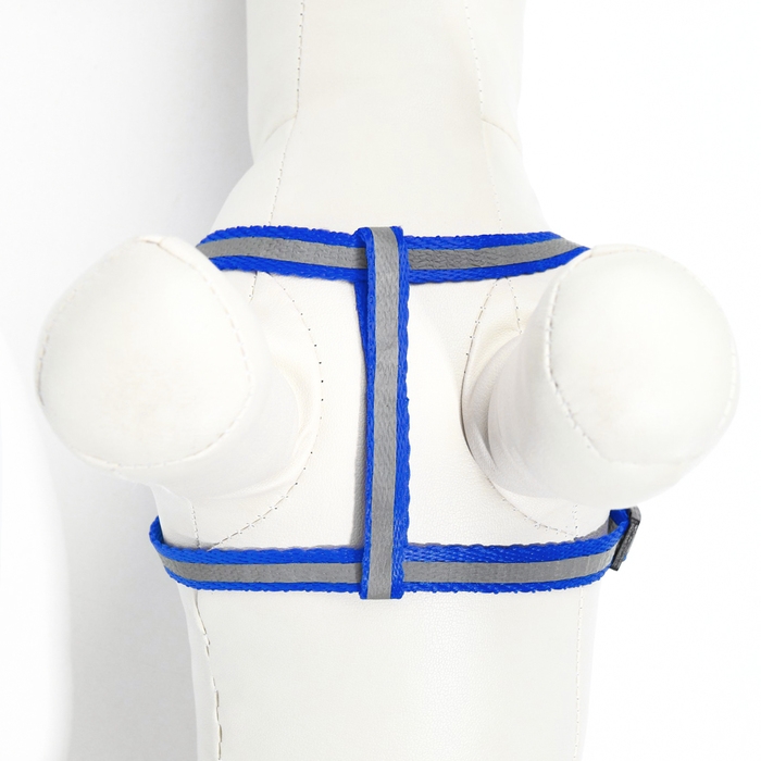 Комплект со светоотражающей лентой, ширина 1 см, поводок 120 см, шлейка 26-40 см, синий Комплект со светоотражающей лентой, ширина 1 см, поводок 120 см, шлейка 26-40 см, синий